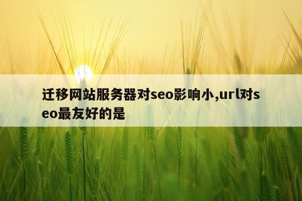 迁移网站服务器对seo影响小,url对seo最友好的是