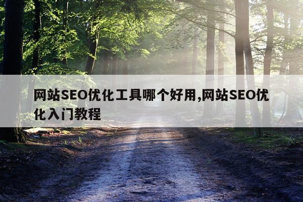 网站SEO优化工具哪个好用,网站SEO优化入门教程