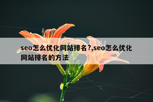 seo怎么优化网站排名?,seo怎么优化网站排名的方法