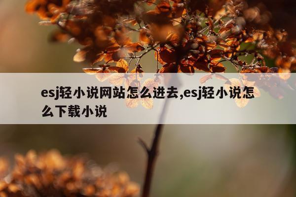 esj轻小说网站怎么进去,esj轻小说怎么下载小说