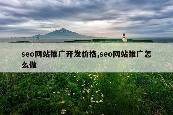 seo网站推广开发价格,seo网站推广怎么做