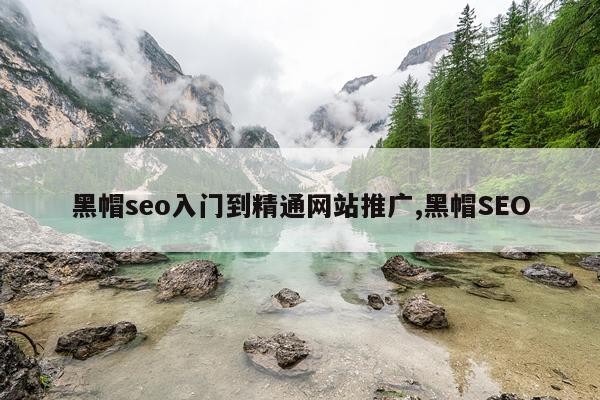 黑帽seo入门到精通网站推广,黑帽SEO