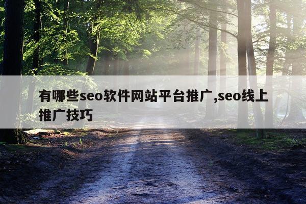 有哪些seo软件网站平台推广,seo线上推广技巧