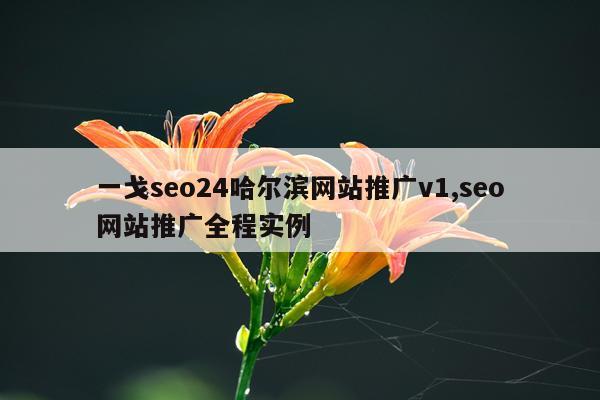 一戈seo24哈尔滨网站推广v1,seo网站推广全程实例
