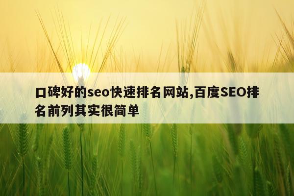 口碑好的seo快速排名网站,百度SEO排名前列其实很简单
