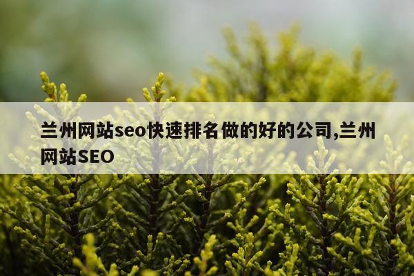 兰州网站seo快速排名做的好的公司,兰州网站SEO