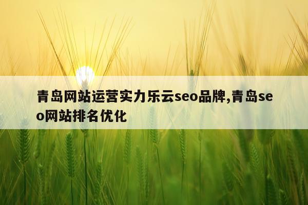青岛网站运营实力乐云seo品牌,青岛seo网站排名优化