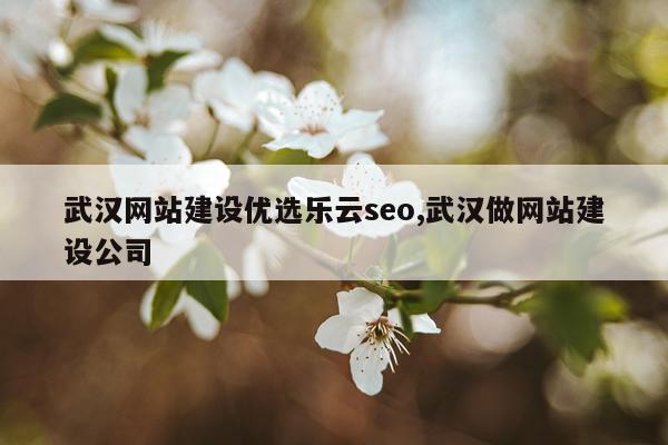 武汉网站建设优选乐云seo,武汉做网站建设公司