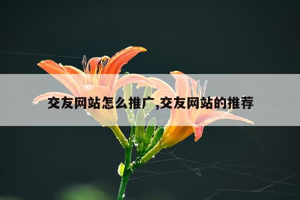 交友网站怎么推广,交友网站的推荐