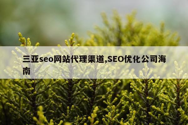 三亚seo网站代理渠道,SEO优化公司海南