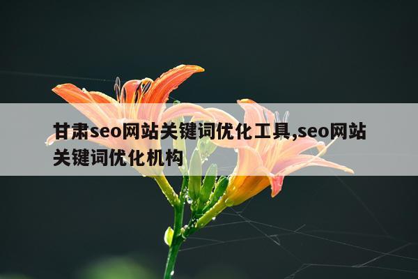 甘肃seo网站关键词优化工具,seo网站关键词优化机构