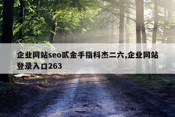 企业网站seo贰金手指科杰二六,企业网站登录入口263