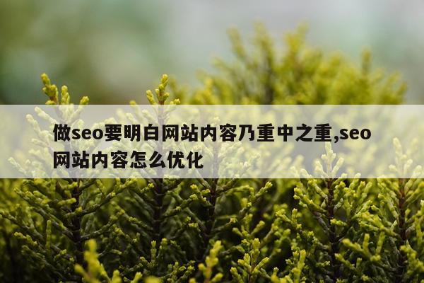 做seo要明白网站内容乃重中之重,seo网站内容怎么优化