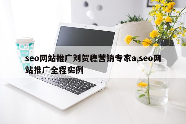 seo网站推广刘贺稳营销专家a,seo网站推广全程实例