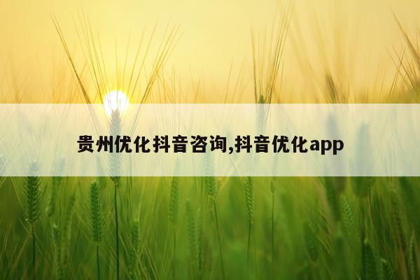 贵州优化抖音咨询,抖音优化app