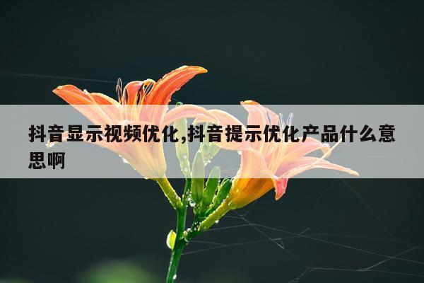 抖音显示视频优化,抖音提示优化产品什么意思啊