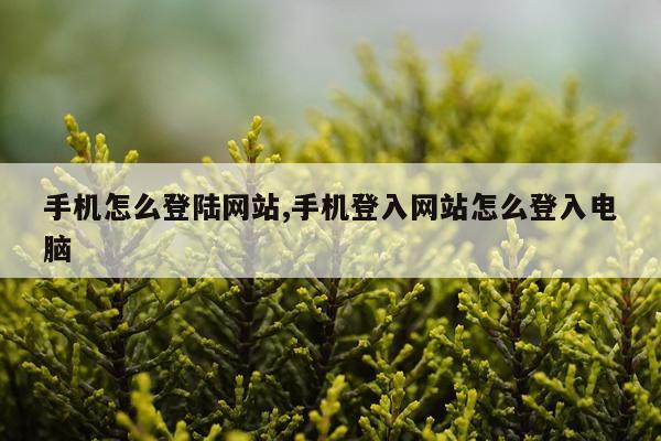 手机怎么登陆网站,手机登入网站怎么登入电脑