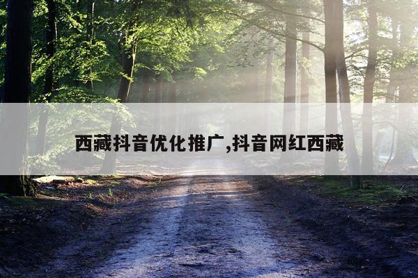 西藏抖音优化推广,抖音网红西藏