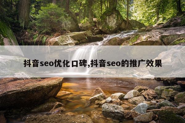 抖音seo优化口碑,抖音seo的推广效果
