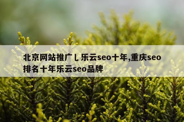 北京网站推广乚乐云seo十年,重庆seo排名十年乐云seo品牌