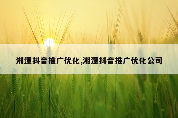 湘潭抖音推广优化,湘潭抖音推广优化公司