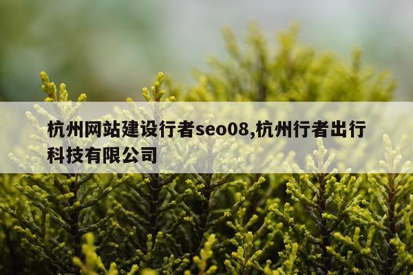 杭州网站建设行者seo08,杭州行者出行科技有限公司
