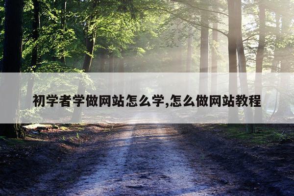 初学者学做网站怎么学,怎么做网站教程