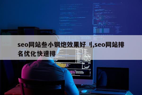 seo网站叁小钢炮效果好刂,seo网站排名优化快速排