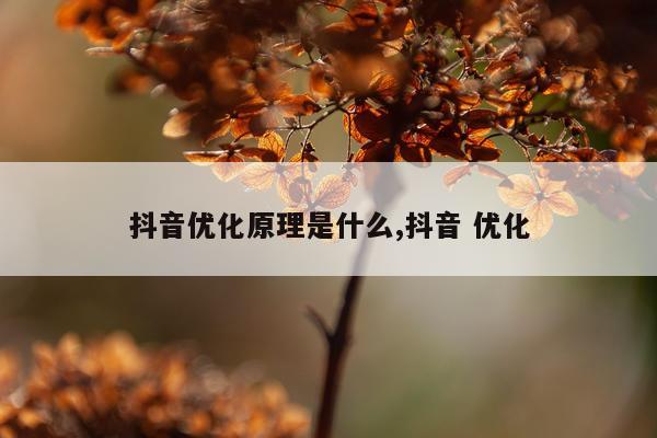 抖音优化原理是什么,抖音 优化