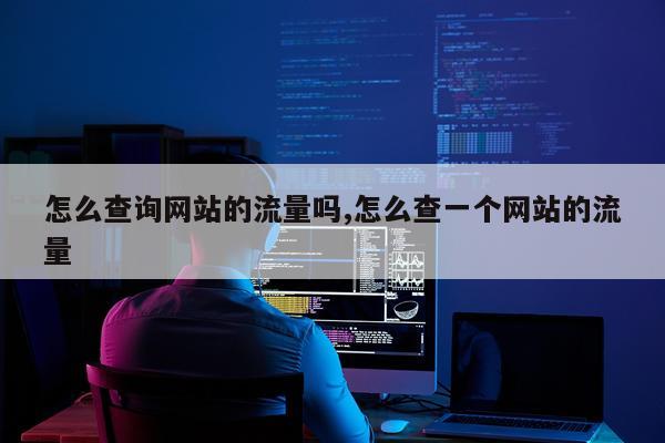 怎么查询网站的流量吗,怎么查一个网站的流量
