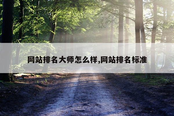 网站排名大师怎么样,网站排名标准