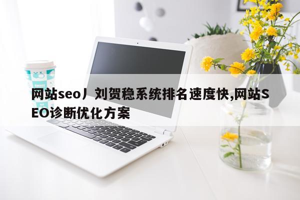 网站seo丿刘贺稳系统排名速度快,网站SEO诊断优化方案