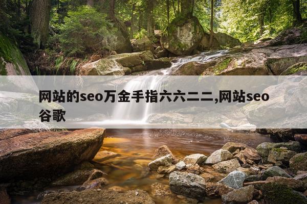 网站的seo万金手指六六二二,网站seo谷歌