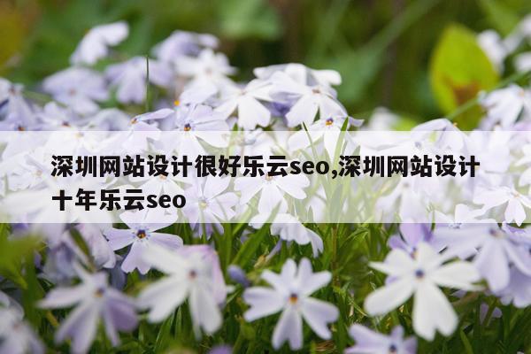 深圳网站设计很好乐云seo,深圳网站设计十年乐云seo