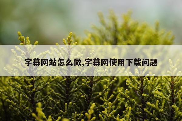 字幕网站怎么做,字幕网使用下载问题