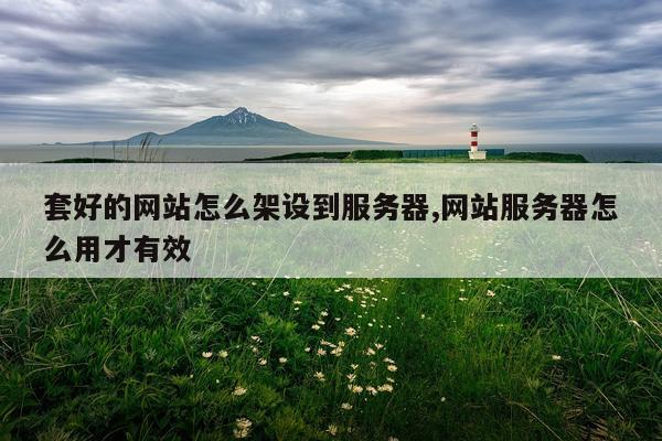 套好的网站怎么架设到服务器,网站服务器怎么用才有效