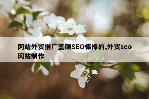网站外贸推广蓝颜SEO棒棒的,外贸seo网站制作