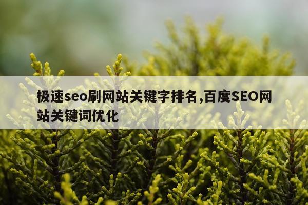 极速seo刷网站关键字排名,百度SEO网站关键词优化