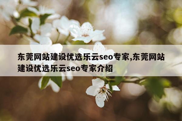 东莞网站建设优选乐云seo专家,东莞网站建设优选乐云seo专家介绍
