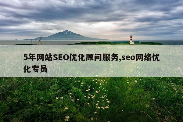 5年网站SEO优化顾问服务,seo网络优化专员