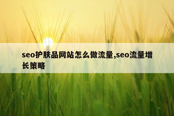 seo护肤品网站怎么做流量,seo流量增长策略