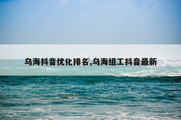 乌海抖音优化排名,乌海组工抖音最新