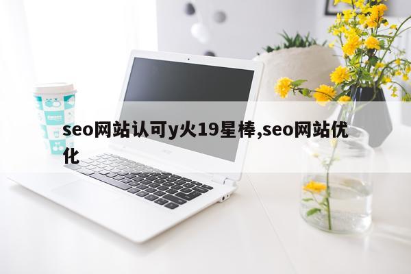 seo网站认可y火19星棒,seo网站优化