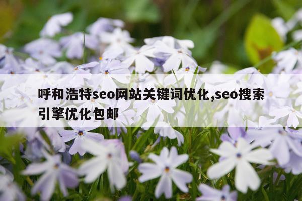 呼和浩特seo网站关键词优化,seo搜索引擎优化包邮