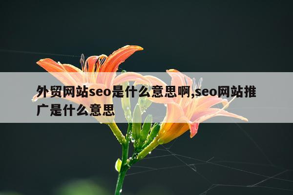 外贸网站seo是什么意思啊,seo网站推广是什么意思