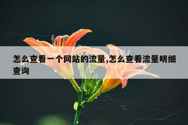 怎么查看一个网站的流量,怎么查看流量明细查询