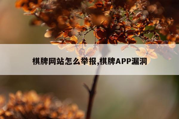 棋牌网站怎么举报,棋牌APP漏洞