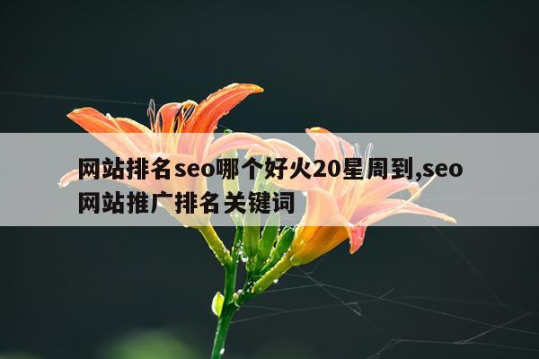 网站排名seo哪个好火20星周到,seo网站推广排名关键词