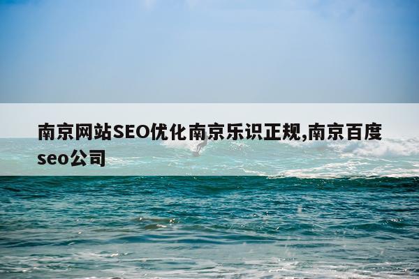 南京网站SEO优化南京乐识正规,南京百度seo公司