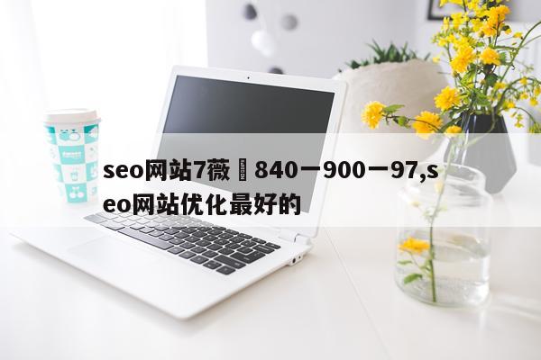 seo网站7薇杺840一900一97,seo网站优化最好的